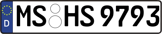 MS-HS9793