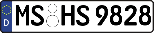MS-HS9828