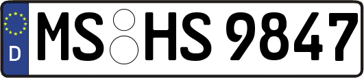 MS-HS9847