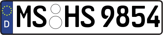 MS-HS9854