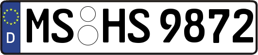 MS-HS9872