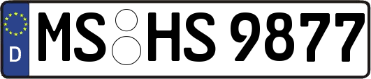 MS-HS9877