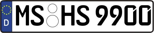 MS-HS9900