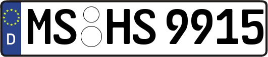 MS-HS9915