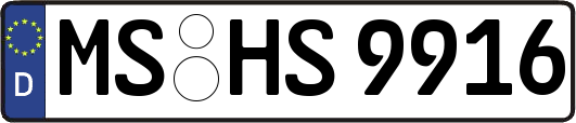 MS-HS9916