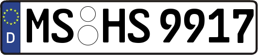 MS-HS9917