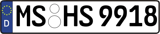 MS-HS9918