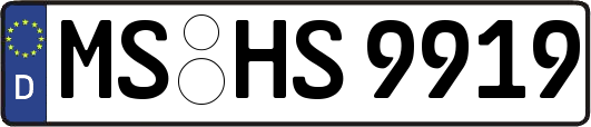 MS-HS9919