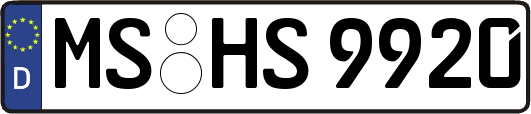 MS-HS9920