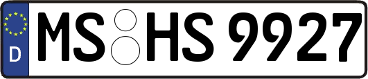 MS-HS9927