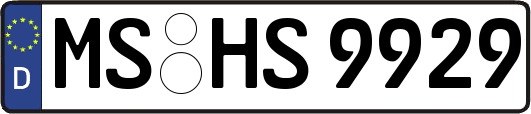 MS-HS9929