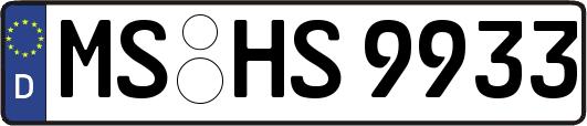 MS-HS9933