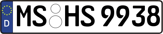 MS-HS9938