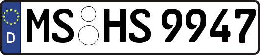MS-HS9947