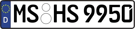 MS-HS9950
