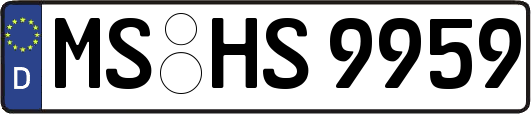 MS-HS9959