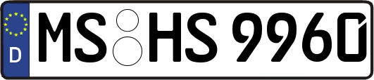 MS-HS9960