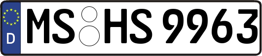 MS-HS9963
