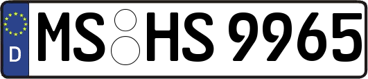 MS-HS9965