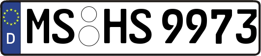 MS-HS9973