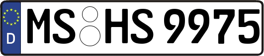 MS-HS9975