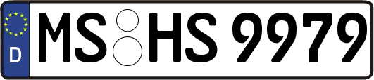 MS-HS9979