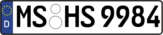 MS-HS9984