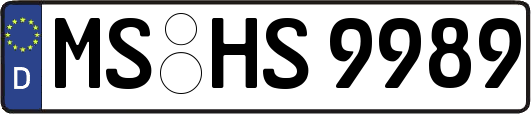 MS-HS9989
