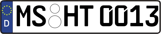 MS-HT0013