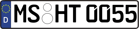 MS-HT0055
