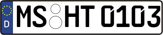 MS-HT0103
