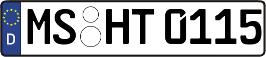 MS-HT0115
