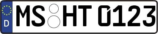 MS-HT0123