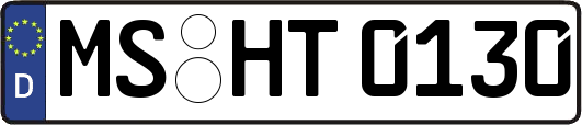 MS-HT0130
