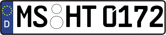 MS-HT0172