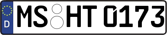 MS-HT0173