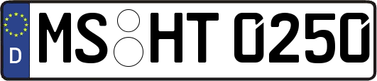 MS-HT0250