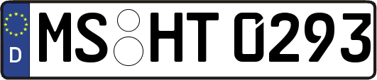 MS-HT0293