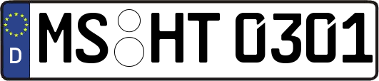 MS-HT0301