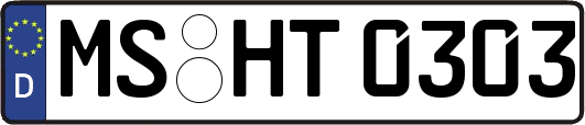MS-HT0303