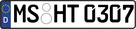 MS-HT0307