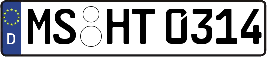 MS-HT0314