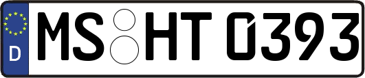 MS-HT0393