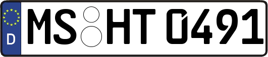 MS-HT0491