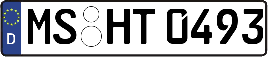 MS-HT0493