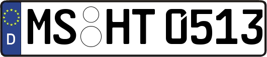 MS-HT0513