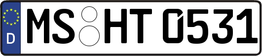MS-HT0531