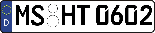 MS-HT0602