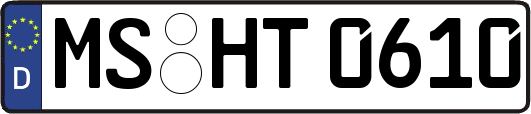 MS-HT0610