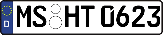 MS-HT0623